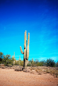 bild7
